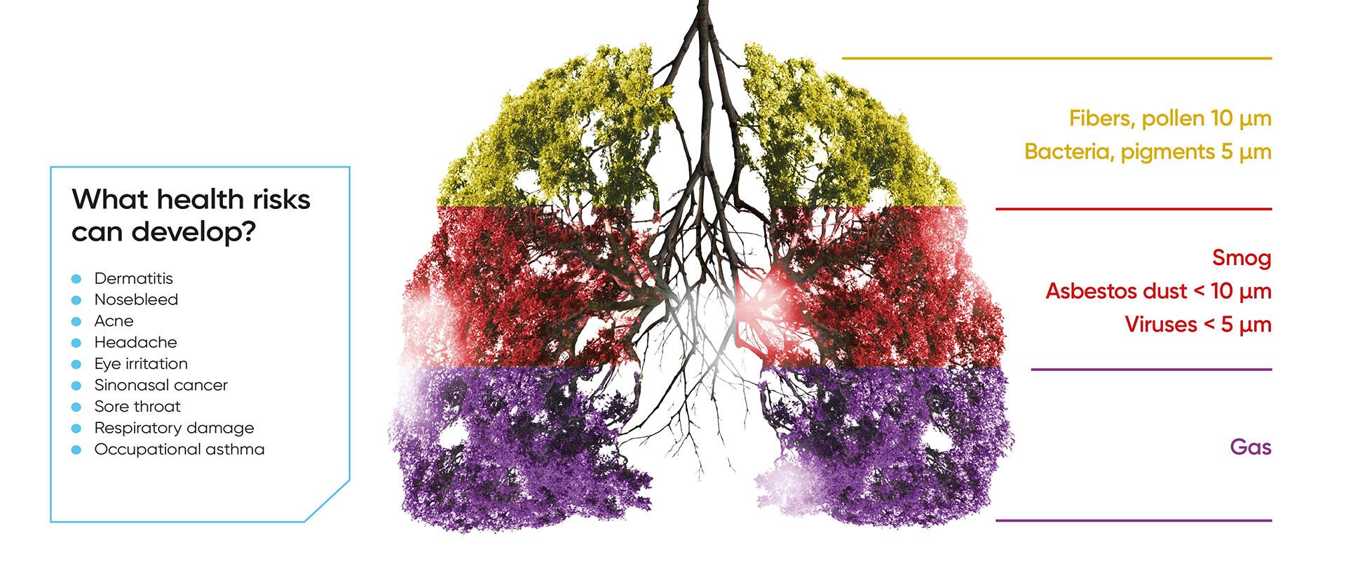 Protect your health infographic